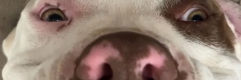 Danmbp's profile banner image