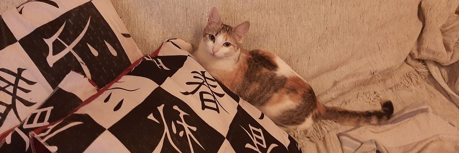 lauraluna_'s profile banner image