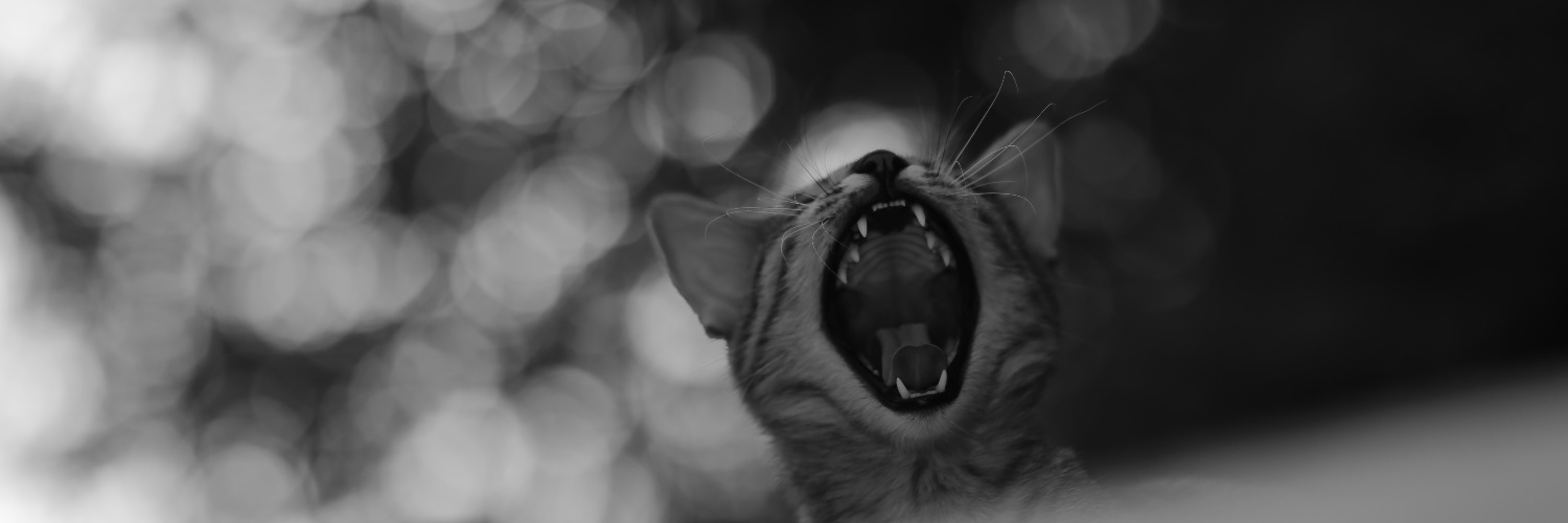 Владовский banner