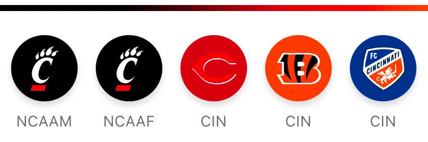 Cincy Sports Enjoyer banner