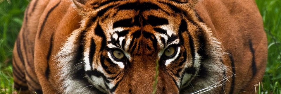 ABU_DRWISH's profile banner image