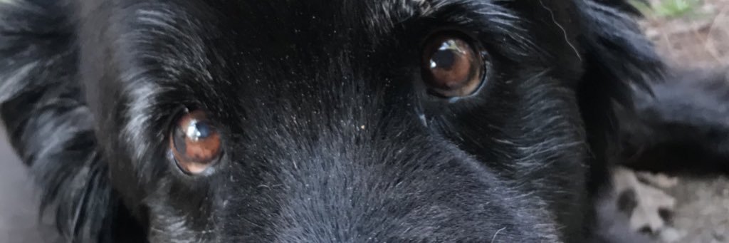 mcrandall06's profile banner image