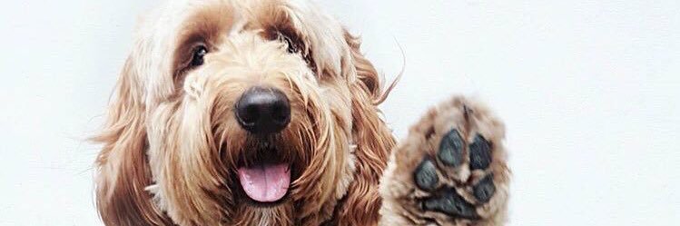 eleanorcaldeuk's profile banner image