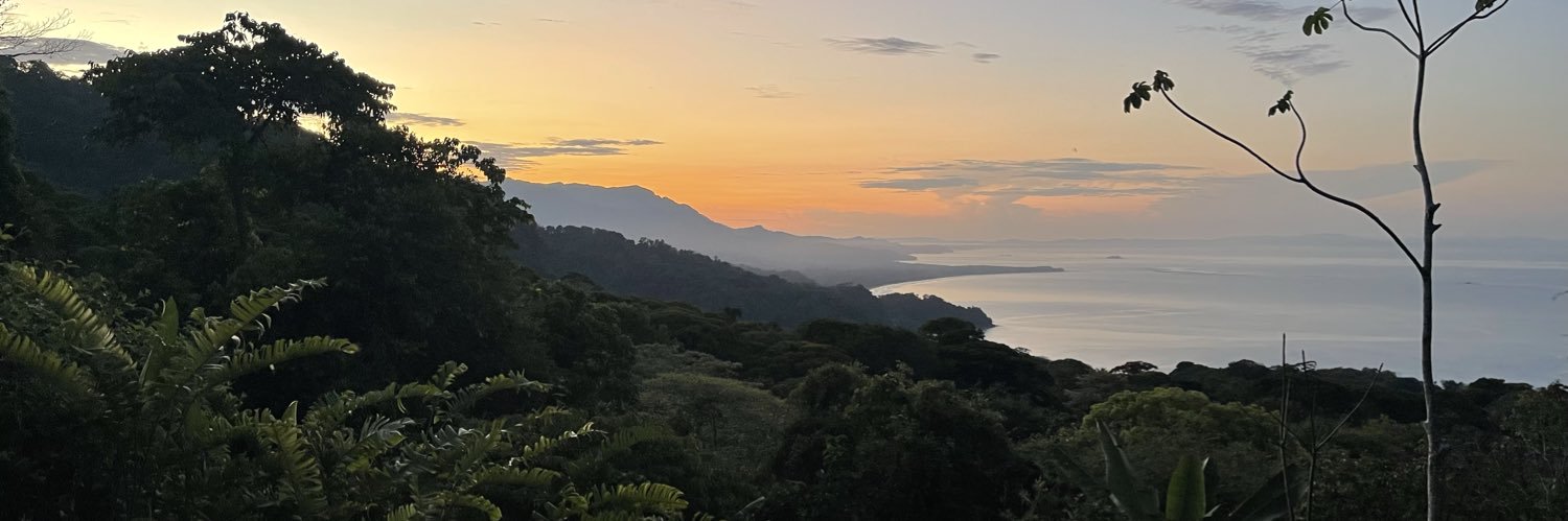 KittenHigh❁ banner