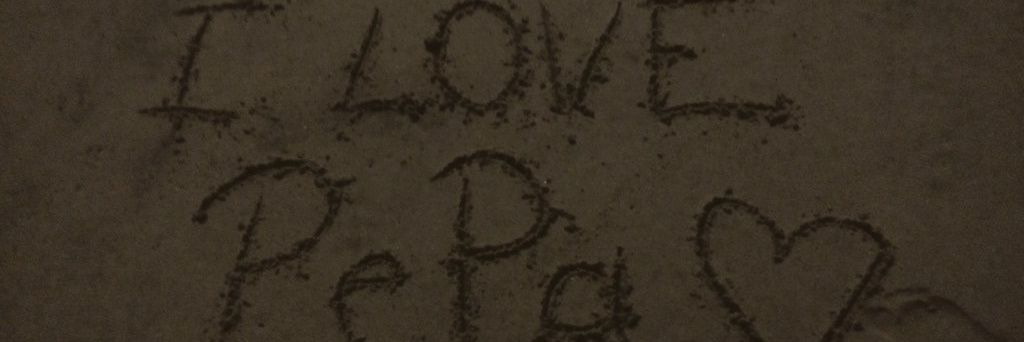 Pepa_Fans's profile banner image
