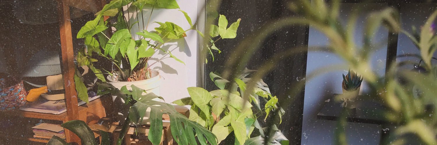 JosemiDice's profile banner image