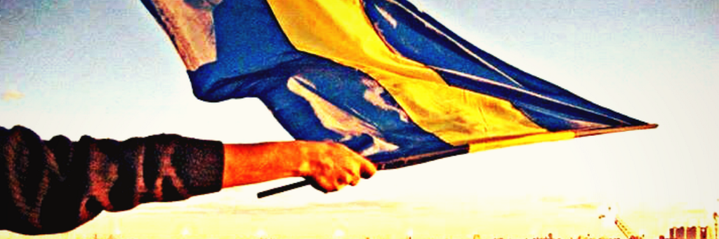 LeaMeza's profile banner image