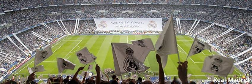 Lalo8a14's profile banner image
