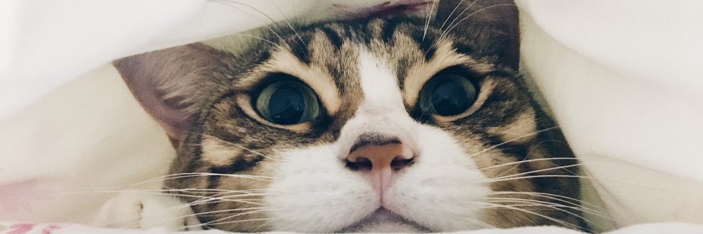 muneeraaaah's profile banner image