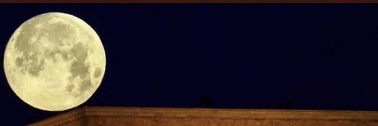 evrenbalkaya's profile banner image