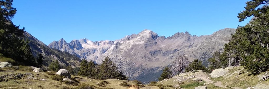 mm_cabrera's profile banner image