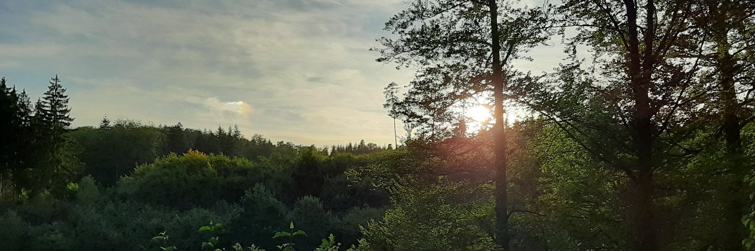 Caio_SFonseca's profile banner image