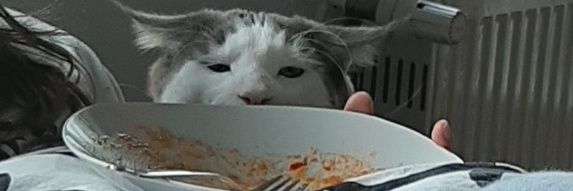 drizzzzl's profile banner image