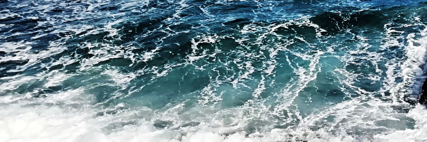 neus banner