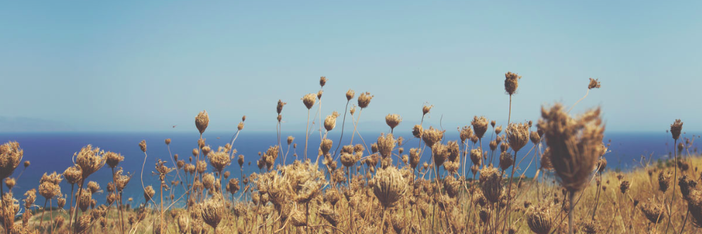 UKFairMoney's profile banner image