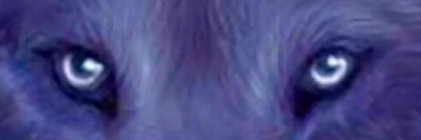 BigNFurry's profile banner image