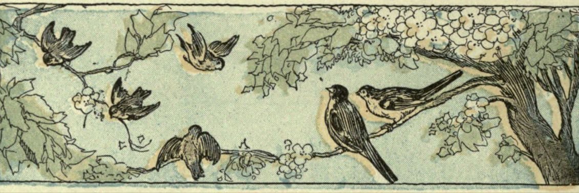 __💚🧚🏽‍♀️Sara🧚🏽‍♀️💚__ banner