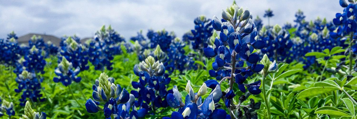 Geoffrey Thomson banner