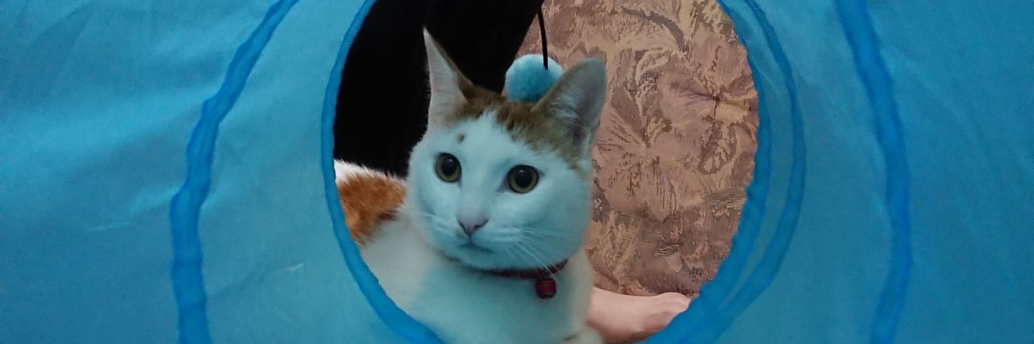maro607's profile banner image