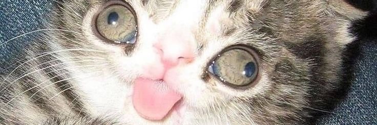theyluvdudu's profile banner image