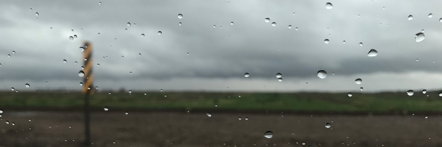 noah_scibelli's profile banner image