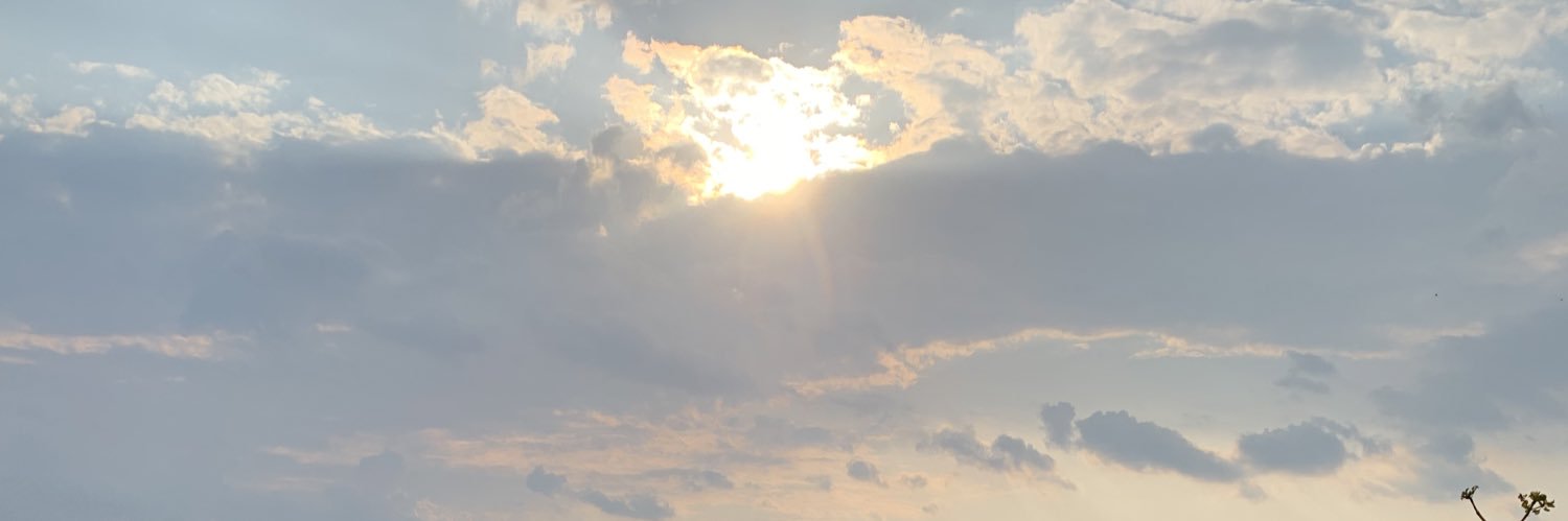 PequenaFabea's profile banner image