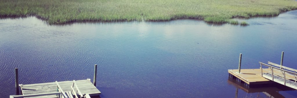 amber_nichole's profile banner image