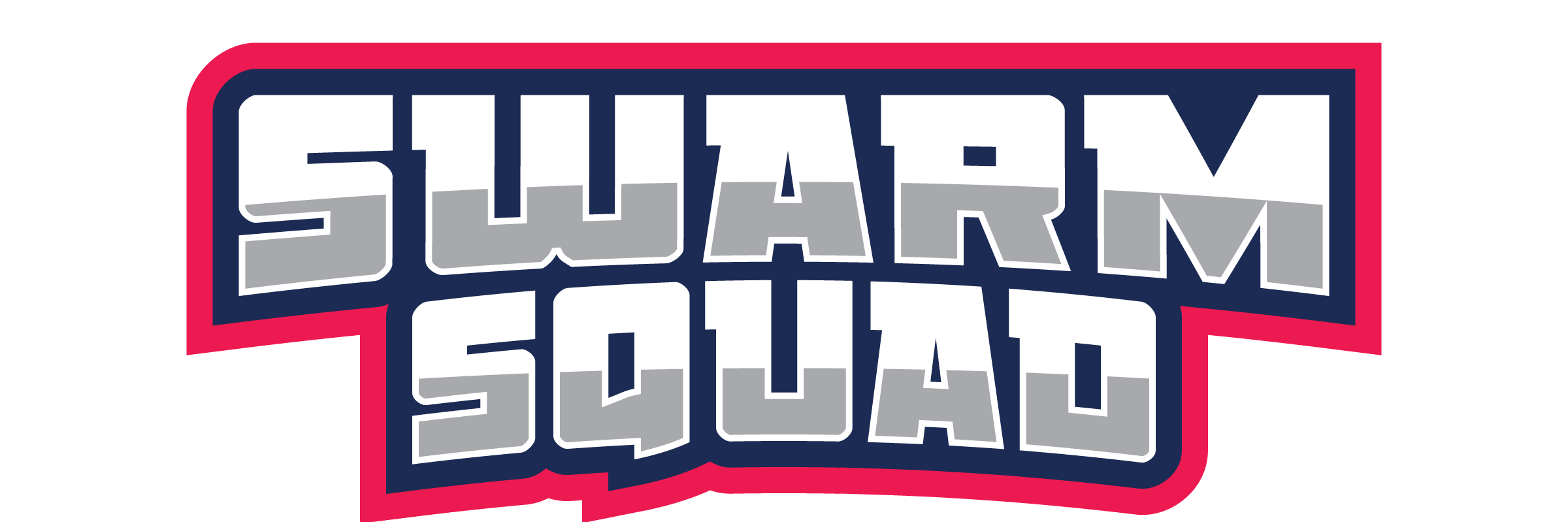 SwarmSquadGG's profile banner image