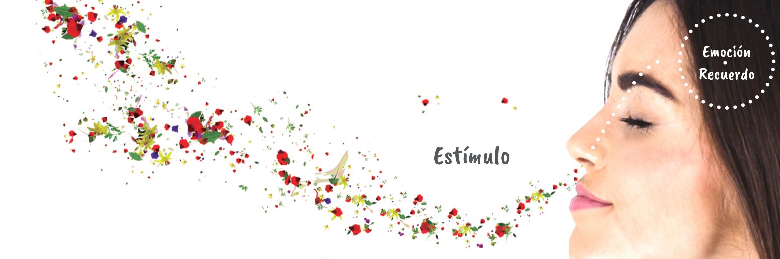 BeAromic's profile banner image