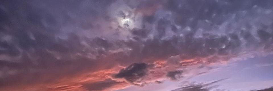 》ιụиα《 banner