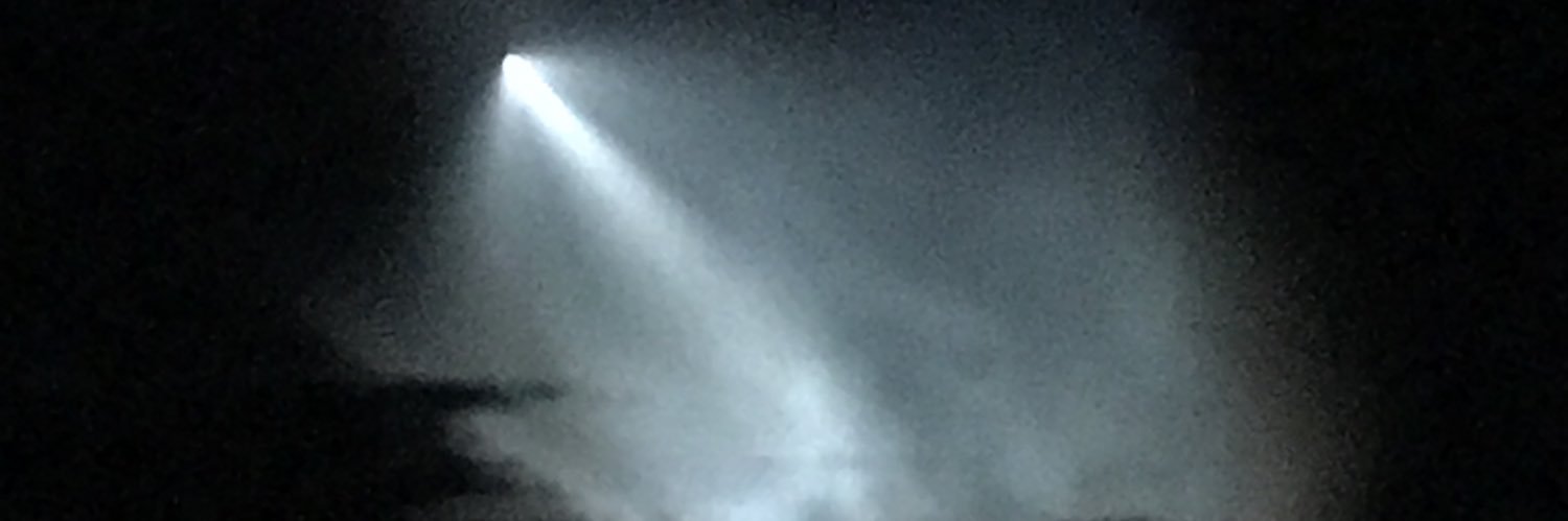 CactusSurprise's profile banner image