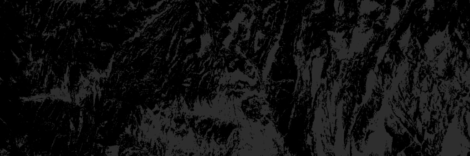 40ozcult's profile banner image