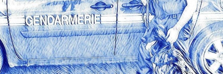Pixelimaux's profile banner image