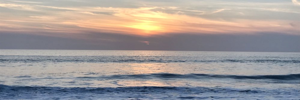 Matt & Pippa Smith banner