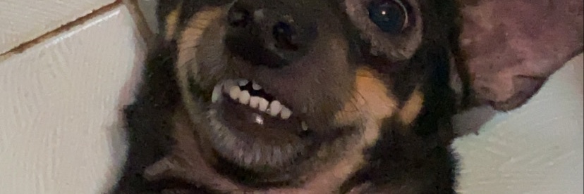 douwhite's profile banner image