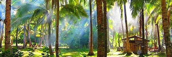 Nate Burkey 🇵🇭🇺🇸 banner