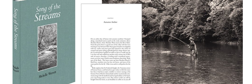 Michelle Werrett banner