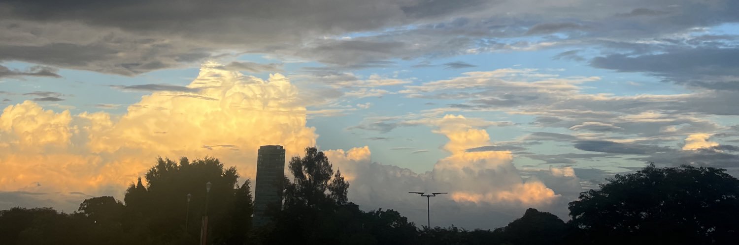 msilvanaherrera's profile banner image