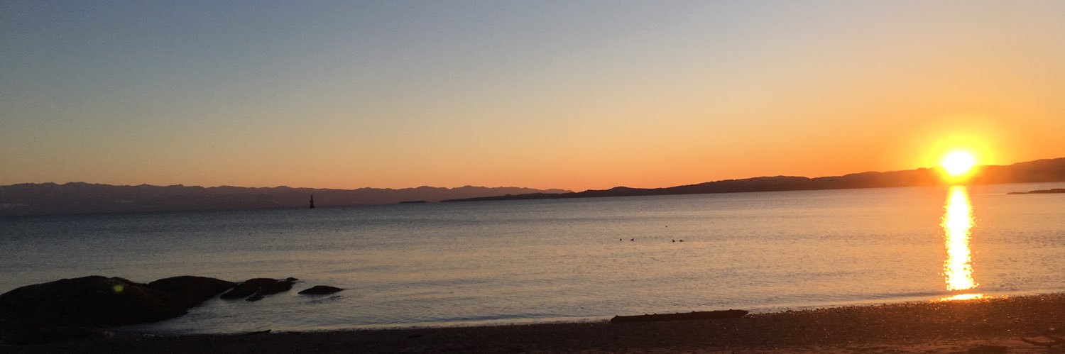 Nick Harrison banner