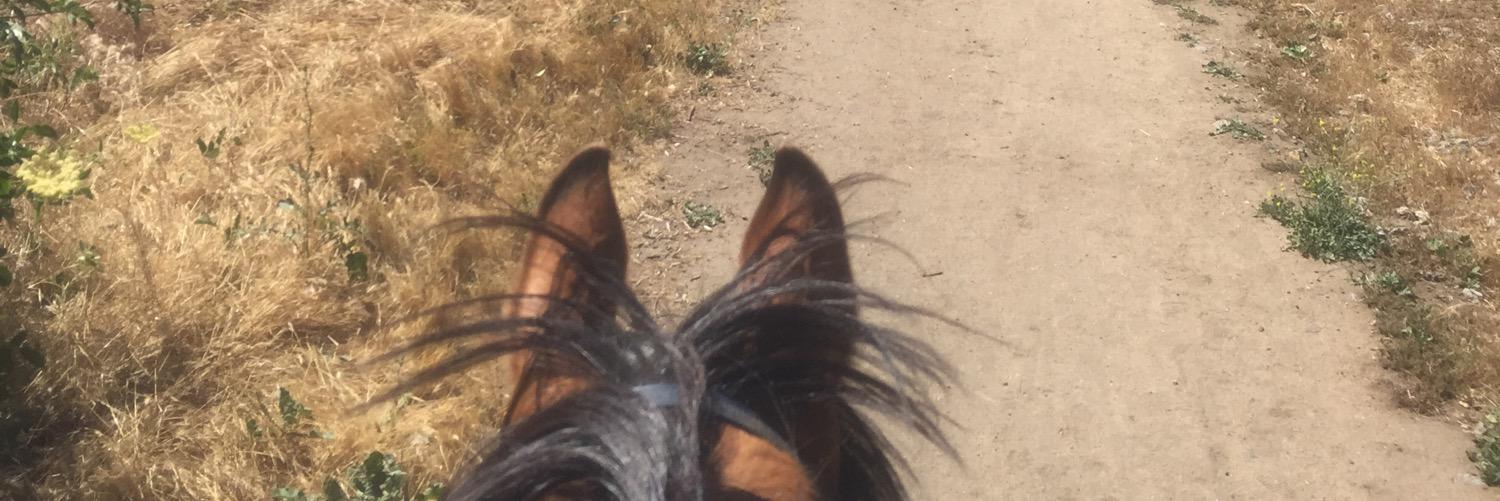 Krystal Jenkins banner