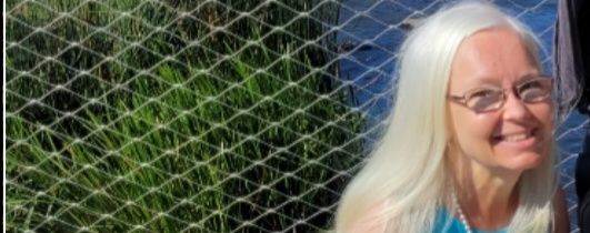 AngelBerglund's profile banner image