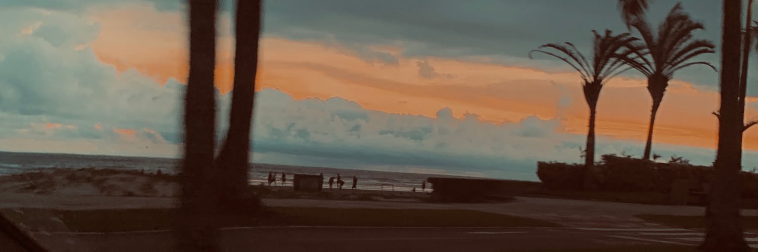 pskpisek's profile banner image