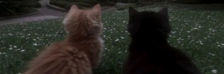 blodz_'s profile banner image