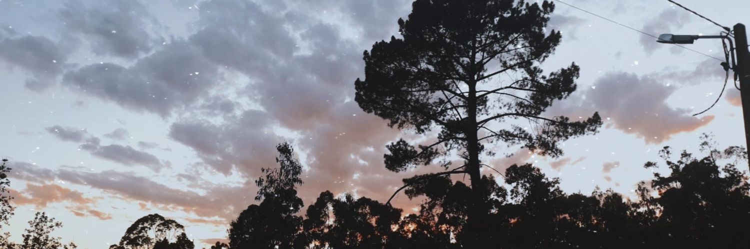 lserofthyear's profile banner image