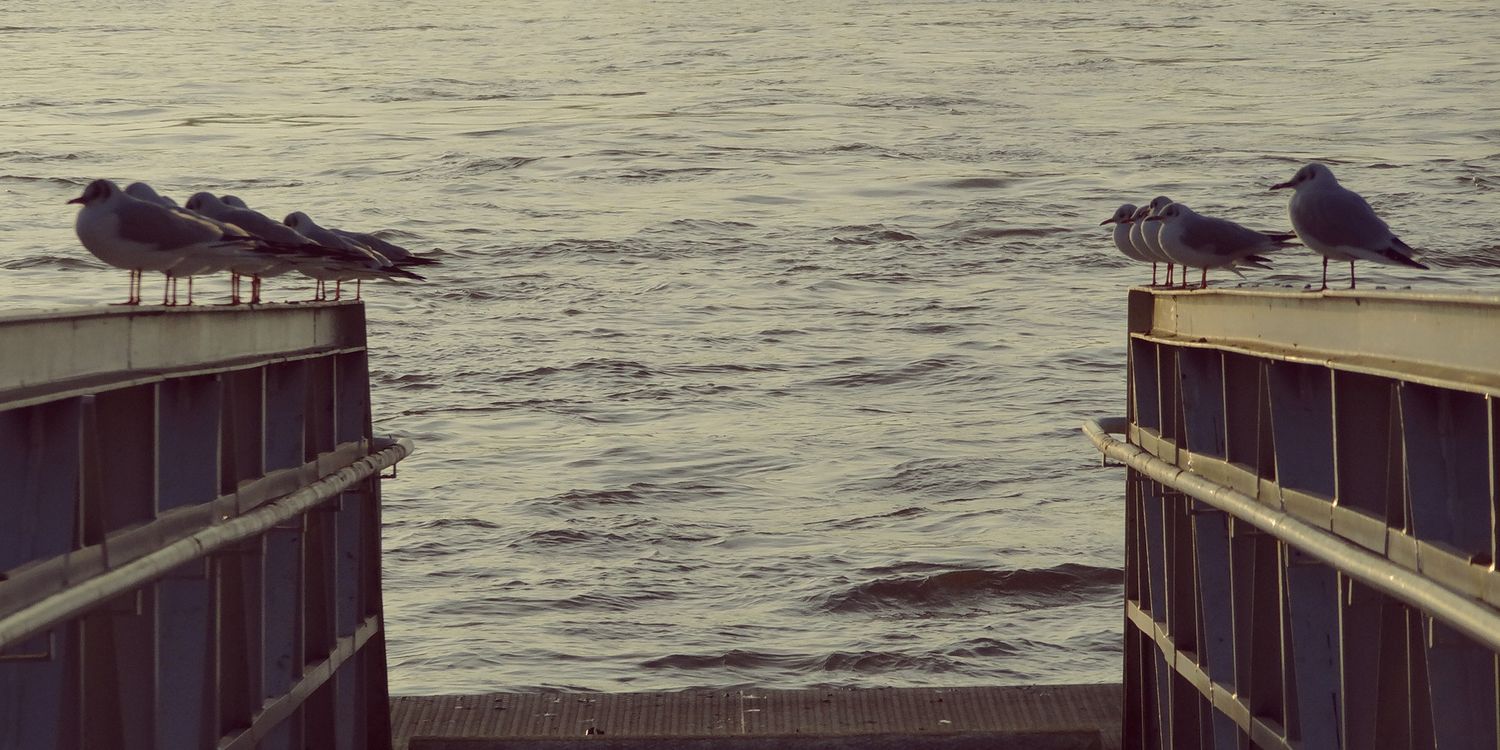 JudithEvita's profile banner image