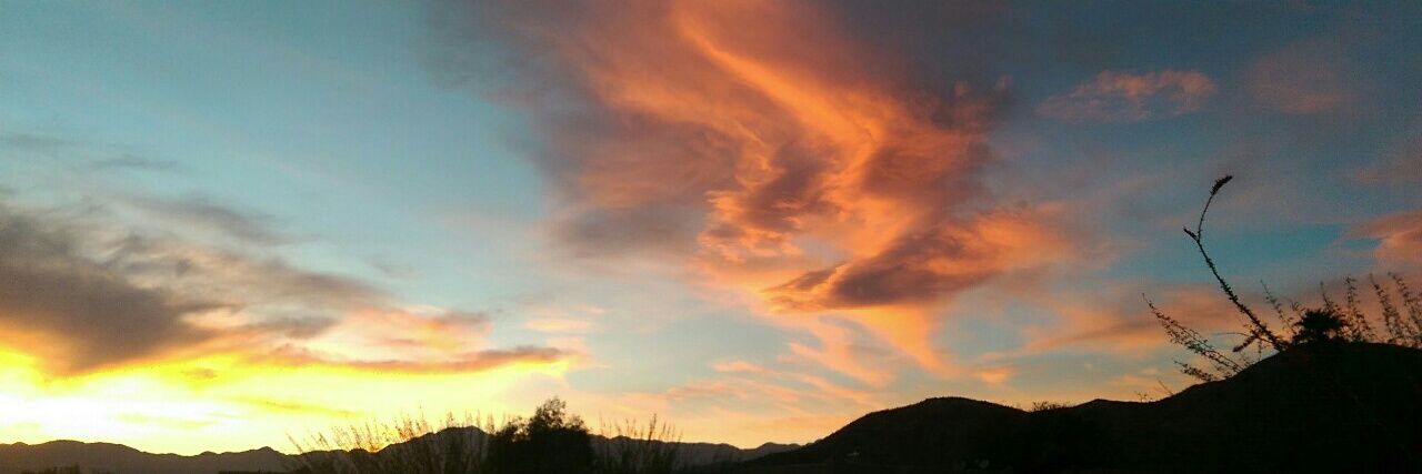 View from Argus banner