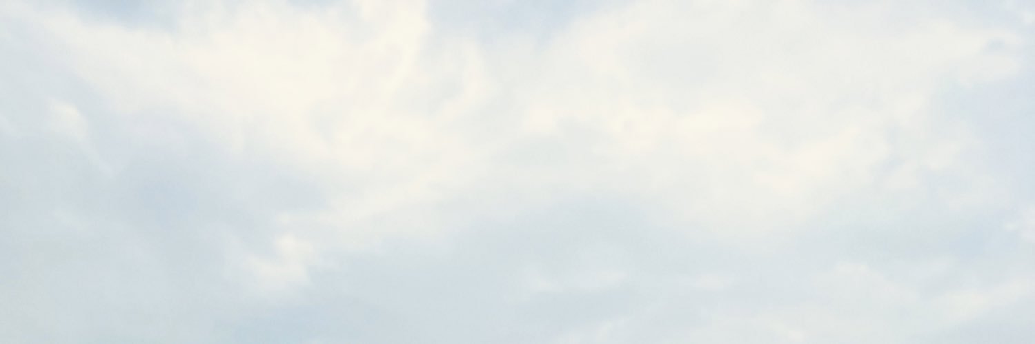 amelyy001's profile banner image