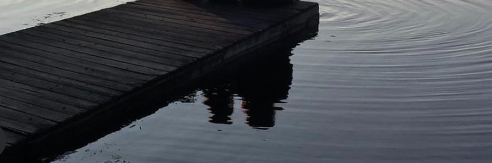 PittEvelyn's profile banner image