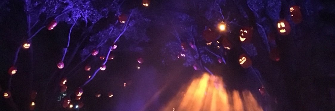 cat lady ray ❤️‍🔥😈🐈‍⬛ banner