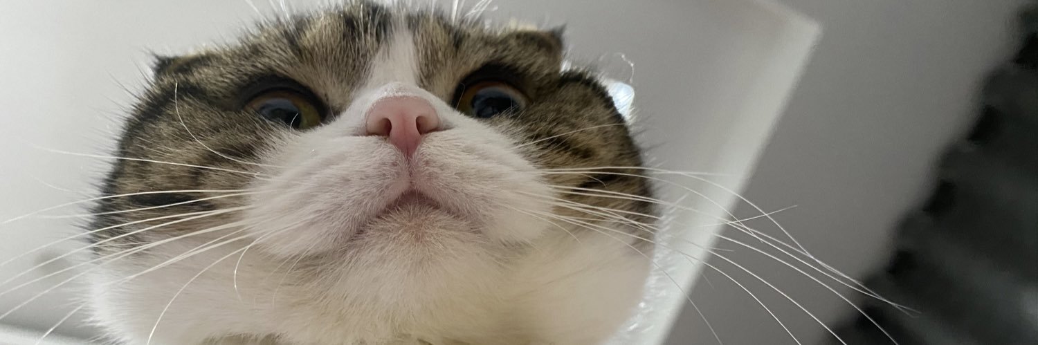 mintraviss's profile banner image